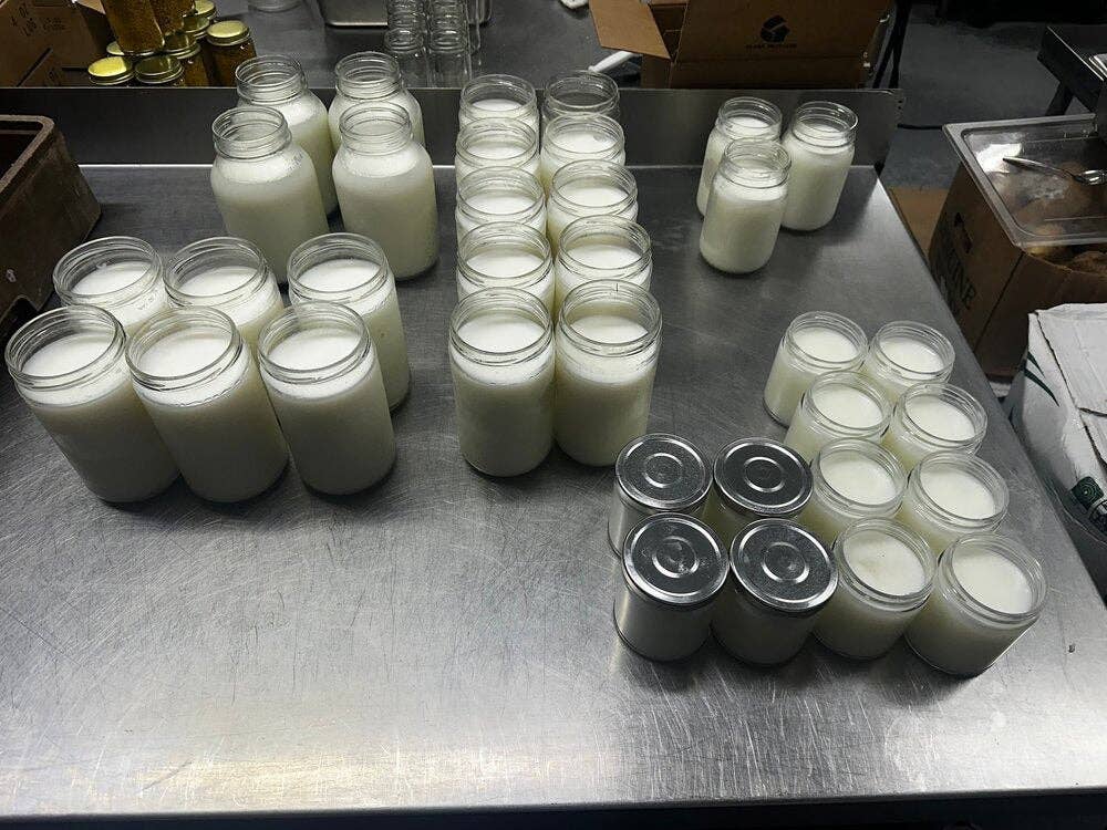 Unscented Bulk Beef Tallow - 8 Pounds | 100% Natural & Pure